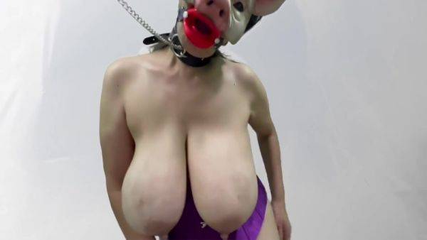 Masked Pig Slut Sucks Dildos And Boob Bouncing - hotmovs.com on gratisflix.com