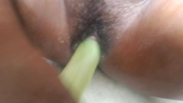 Whole Cucumber In My Dark Pussy . Taking A Huge Cucumber In My Pussy . Fucking With Cucumber . Painful Sex Video - desi-porntube.com - India on gratisflix.com